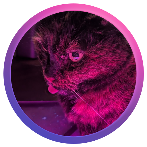 The Project Manager